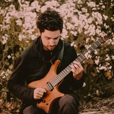 Plini